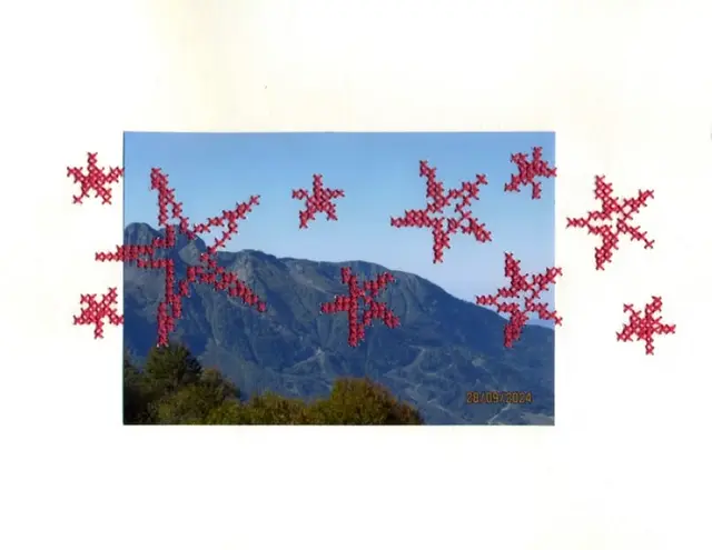 stitch club: cross stitch photography