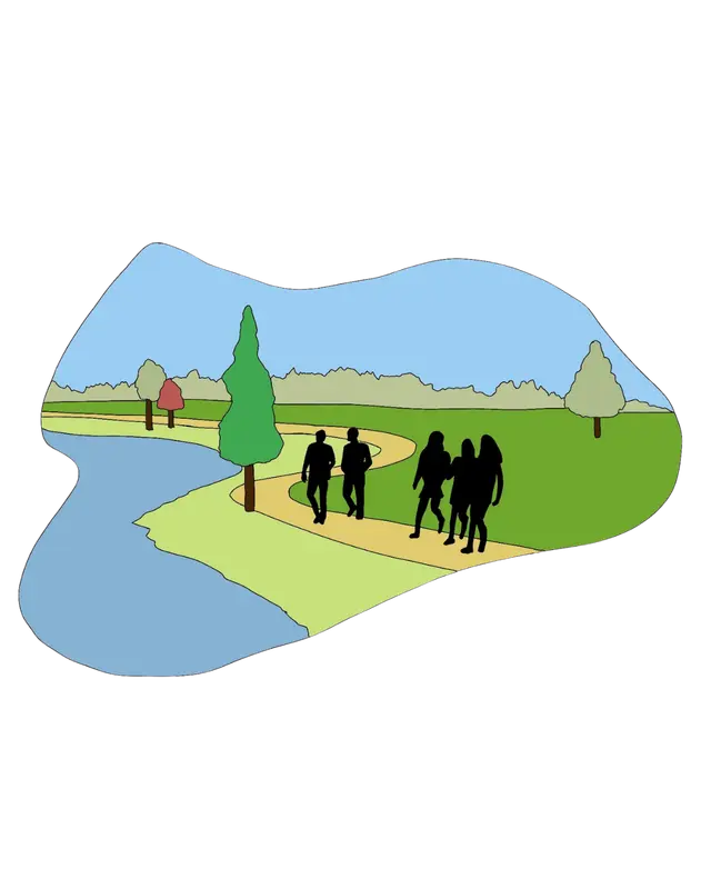 Walks and Networking on the Lake
