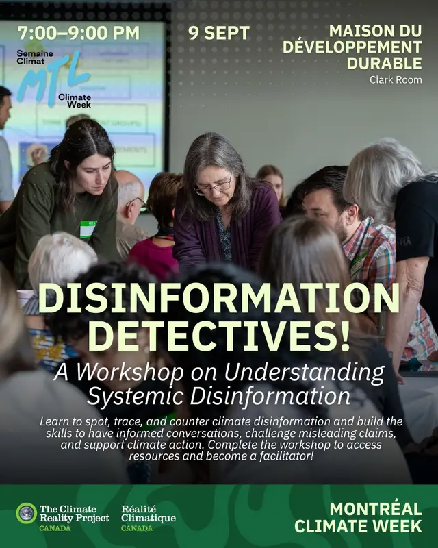 Disinformation Detectives! Workshop on understanding systemic disinformation