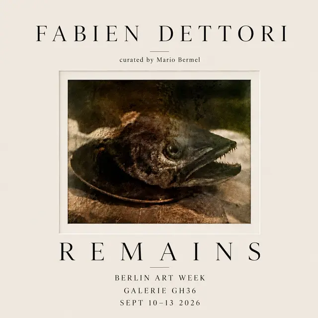 FABIEN DETTORI - vernissage