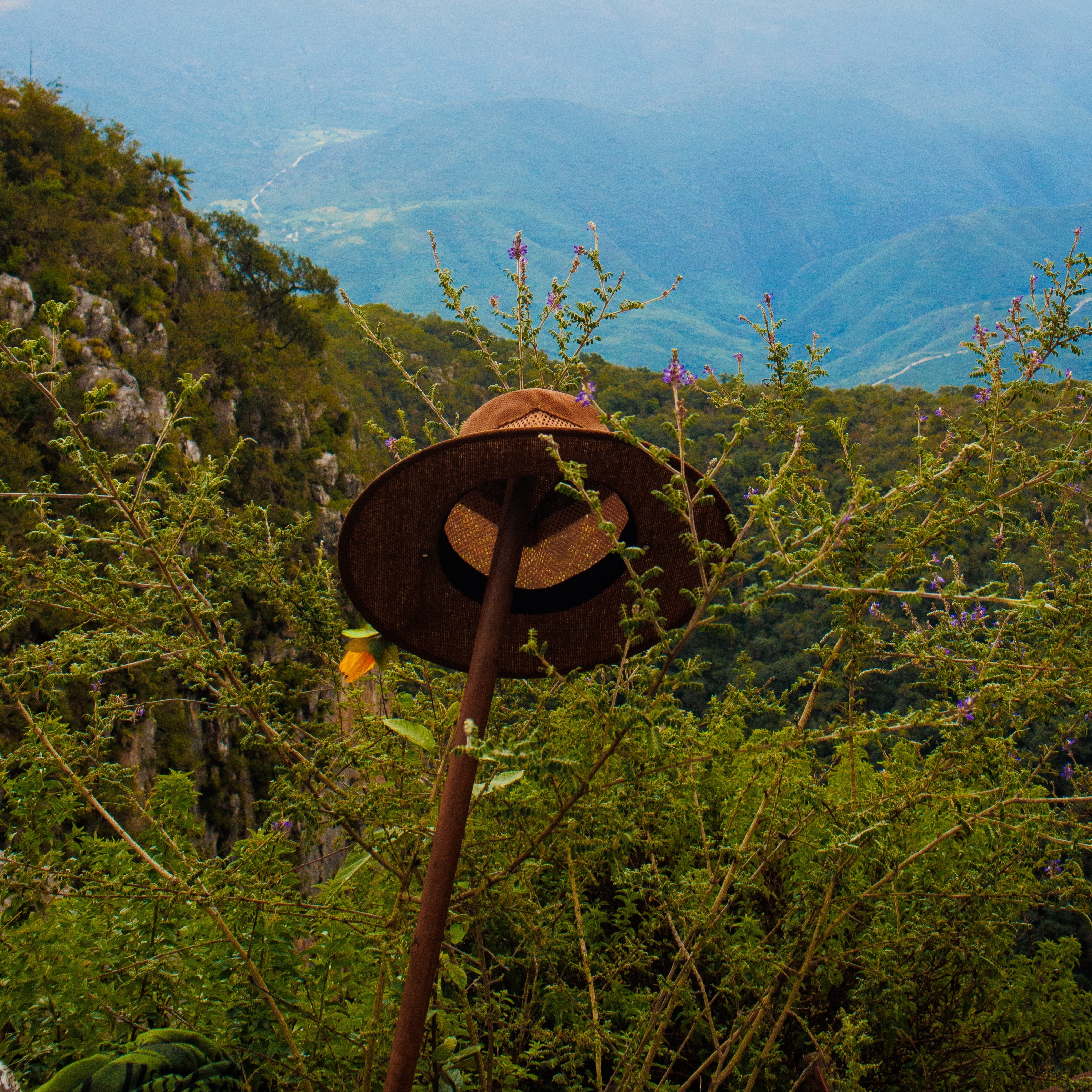 Al Monte Hike