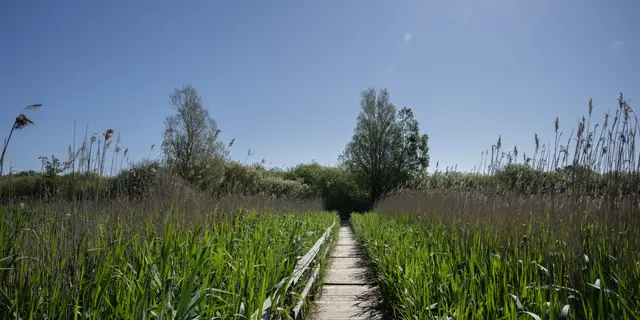 Digital Solutions for Biodiversity by Lensor