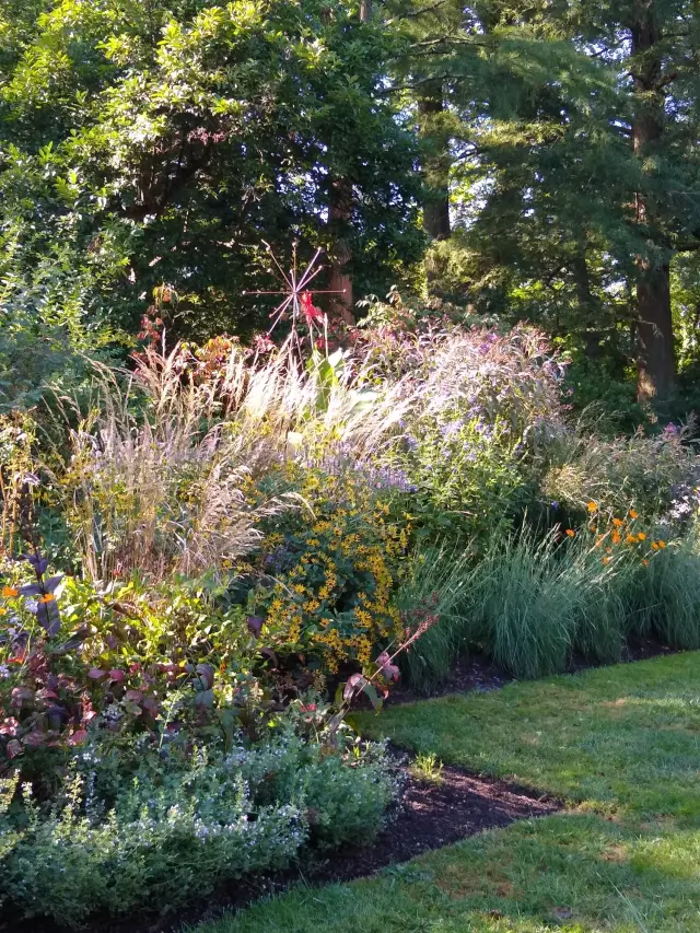Photo Walk: The Barnes Arboretum at Saint Joseph’s University