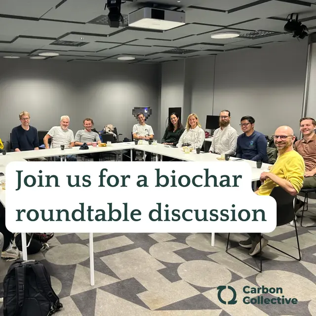The Future of Biochar