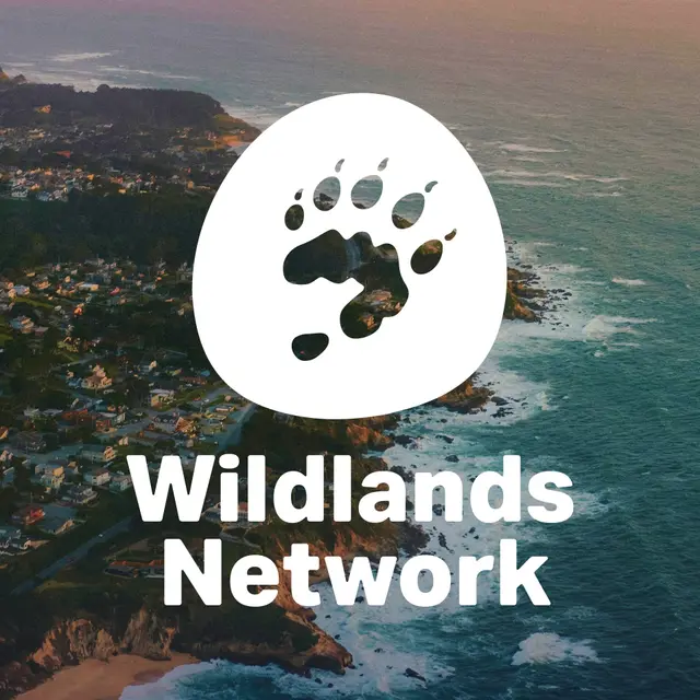 Roam Free: A Wildlife and Climate Trivia Night!