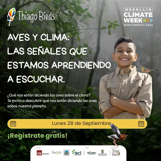 Aves y clima: las señales que estamos aprendiendo a escuchar
